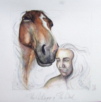 Paard Verzameld Collective challenge 'whisper'. 20x20cms, watercolour and pencil [available]