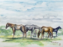 Paard Verzameld Collective meeting 'Paardenkamp II'. A4, watercolours [available]